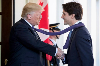 Illustration for article titled Trump Ties